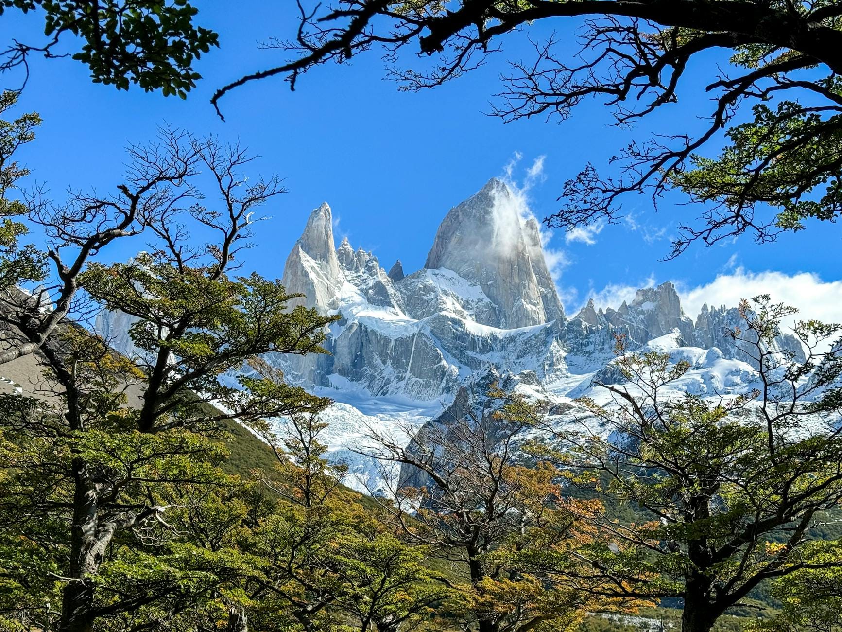 Góra Fitz Roy w Patagonii otoczona zielonym lasem