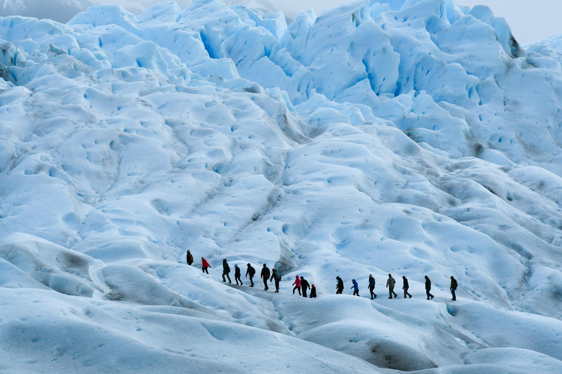 Trekkingowa grupa na lodowcu w Patagonii wśród rozległego lodowego pola