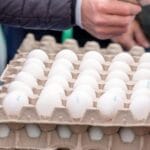 Zakup jajek na targu, zbliżenie na ręce płacące gotówką
